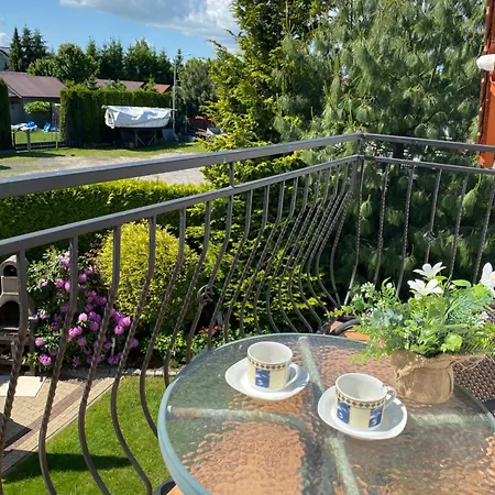 Dorjan - Gościnne *