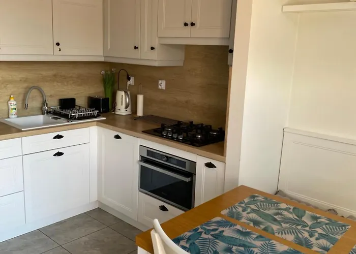 Dorjan - Goscinne דז'יבנובק