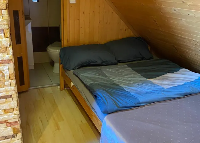 Dorjan - Goscinne דז'יבנובק