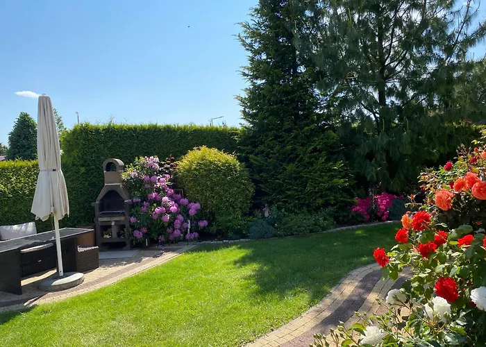 Dorjan - Goscinne * Dziwnówek